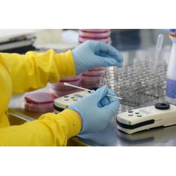 Mais 13 casos e dois óbitos da variante delta e sublinhagens são confirmados no Paraná